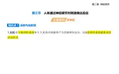 2.3 人体通过神经调节对刺激做出反应知识点串讲课件—+分层训练-浙科版高中生物高二上册（选必一）