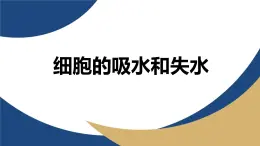 浙科版高中生物必修1 《3-3-1 細(xì)胞的吸水和失水》教學(xué)課件