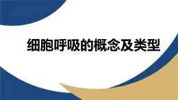 浙科版高中生物必修1 《3-4-1 細(xì)胞呼吸的概念及類型》教學(xué)課件