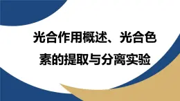 浙科版高中生物必修1 《3-5-1 光合作用概述、光合色素及提取與分離實驗操作》教學(xué)課件