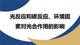 浙科版高中生物必修1 《3-5-2 光反應(yīng)和碳反應(yīng)、環(huán)境因素對光合作用的影響》教學(xué)課件