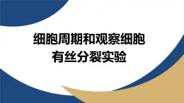 浙科版高中生物必修1 《4-1-1 細(xì)胞周期和觀察細(xì)胞有絲分裂實驗》教學(xué)課件