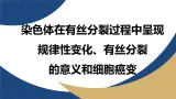 浙科版高中生物必修1 《4-1-2 染色体在有丝分裂过程中呈现规律性变化、有丝分裂的意义细胞癌变》教学课件