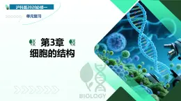 第3章 细胞的结构（复习课件）-2025-2026学年高中生物必修1（沪科级版2020）
