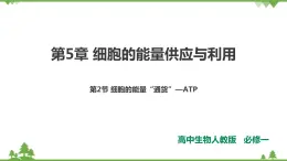 人教版生物必修一5.2《細(xì)胞的能量“通貨”—ATP》PPT課件+教學(xué)設(shè)計(jì)+同步練習(xí)