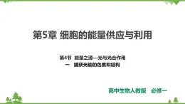 人教版生物必修一5.4（一 ）《捕獲光能的色素和結(jié)構(gòu) 》PPT課件+教學(xué)設(shè)計(jì)+同步練習(xí)
