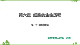 人教版生物必修一6.1《細(xì)胞的增殖》PPT課件+教學(xué)設(shè)計(jì)+同步練習(xí)