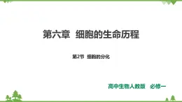 人教版生物必修一6.2《細(xì)胞的分化》PPT課件+教學(xué)設(shè)計(jì)+同步練習(xí)