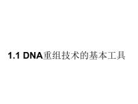 生物专题1 基因工程1.1 DNA重组技术的基本工具课文内容课件ppt
