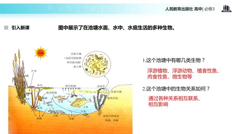 引入新课,种间关系,种群位置,群落的空间结构,群落演替,池塘的范围和