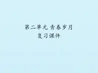 北師大版高中語文必修一 第二單元 青春歲月 復(fù)習(xí)課件