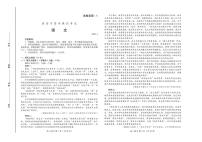 2020届山东省潍坊市高三下学期高考模拟考试（一模）语文试题 PDF版