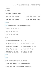 2021-2022学年安徽省芜湖市安徽师大附中高二下学期期中语文试题含解析