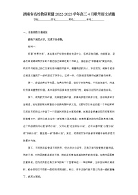 湖南省名校教研联盟2022-2023学年高三4月联考语文试题（含答案）