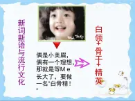 《新詞新語與流行文化》名師課件