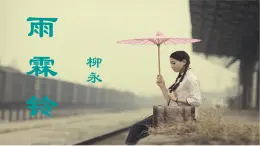 【精品教學(xué)】4 《柳永詞兩首》第二課時(shí)《雨霖鈴》-2020-2021學(xué)年高一語文人教版必修4同步教學(xué) 課件教案