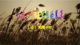 【精品教學(xué)】10 《短文三篇》第二課時(shí)《人是一根能思想的葦草》-2020-2021學(xué)年高一語文人教版必修4同步教學(xué) 課件教案