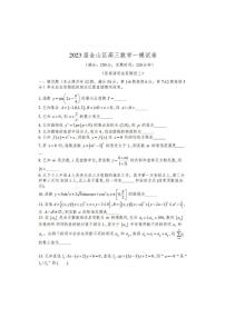 2023届上海市金山区高三上学期高考一模考试数学试卷