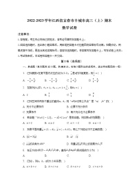 2022-2023學(xué)年江西省宜春市豐城市高三（上）期末數(shù)學(xué)試卷（word版）