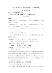 湖北省武汉市2022-2023学年高三下学期二月调研考试数学试题