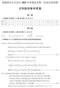 2023屆新疆維吾爾自治區(qū)普通高考第一次適應(yīng)性檢測(cè)文數(shù)試題