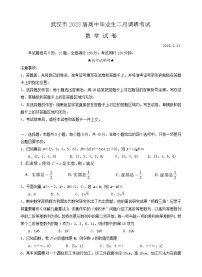 湖北省武汉市2022-2023学年高三下学期二月调研考试数学试题