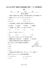 2022-2023学年广西南宁市希望高级中学高一（下）期中数学试卷（含解析）