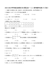 2023-2024学年湖北省武汉市江夏区高一（上）联考数学试卷（9月份）（含解析）