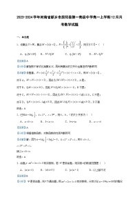 2023-2024学年河南省新乡市原阳县第一高级中学高一上学期12月月考数学试题含答案