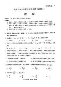 广东省梅州市2024届高三下学期一模考试（2月）数学试卷（PDF版附答案）