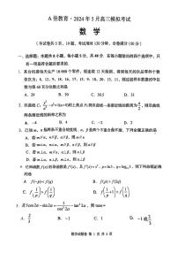 湖南省A佳教育2024屆高三下學期5月模擬考試數(shù)學試卷（PDF版附答案）