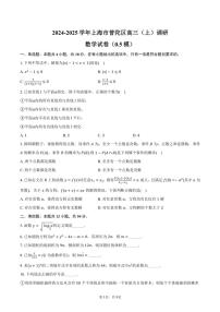 2024～2025學(xué)年上海市普陀區(qū)高三(上)調(diào)研數(shù)學(xué)試卷(0.5模)(含答案)