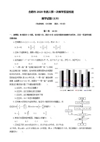 2020届安徽省合肥市高三第一次教学质量检测数学（文）试题