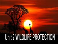 人教版 (2019)必修 第二册Unit 2 Wildlife protection备课课件ppt