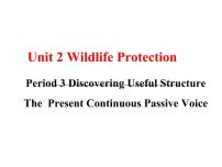 高中英语人教版 (2019)必修 第二册Unit 2 Wildlife protection课文ppt课件