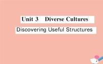 英语Unit 3 Diverse Cultures教案配套课件ppt