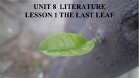 高中北师大版 (2019)Lesson 1 The Last Leaf教学ppt课件