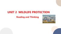 人教版 (2019)必修 第二册Unit 2 Wildlife protection优质课课件ppt