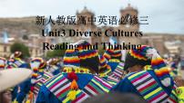 高中人教版 (2019)Unit 3 Diverse Cultures教案配套ppt课件
