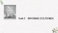 必修 第三册Unit 3 Diverse Cultures完美版课件ppt