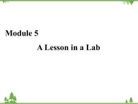 高中英语外研版必修1Module 5 A Lesson in a Lab优秀ppt课件