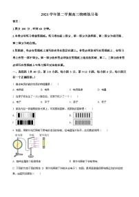 2022年上海市奉贤区高三（下）等级考二模物理试题（含详解）