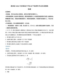 2022年湖南省普通高中学业水平选择性考试仿真模拟物理试题（解析版）