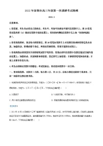 2022届广东省深圳市高三（下）第一次调研考试（一模）物理试题有答案