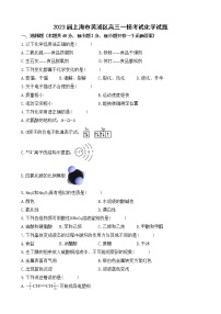 2023届上海市黄浦区高三一模考试化学试题（含详解）