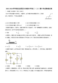 2023-2024学年湖北省武汉市东湖中学高二（上）期中考试物理试卷（含解析）
