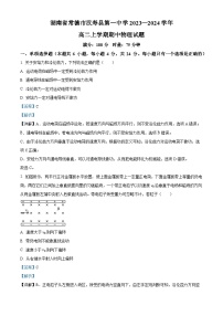 湖南省常德市汉寿县第一中学2023-2024学年高二上学期11月期中物理试题（Word版附解析）