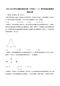2023-2024学年安徽省芜湖市第一中学高二（上）教学质量诊断测试物理试卷（含解析）