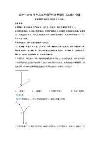 2024~2025學(xué)年河北省衡水市桃城區(qū)多校高三(上)10月學(xué)科素養(yǎng)監(jiān)測(三調(diào))物理試卷(解析版)