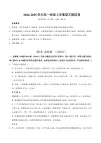 2025年高一物理上學(xué)期期末模擬卷（人教版）